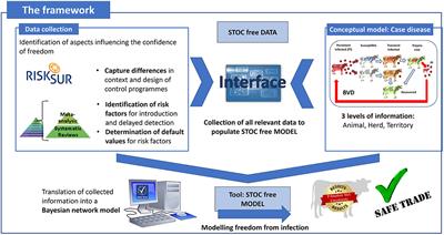 STOC Free: An Innovative Framework to Compare Probability of Freedom From Infection in Heterogeneous Control Programmes